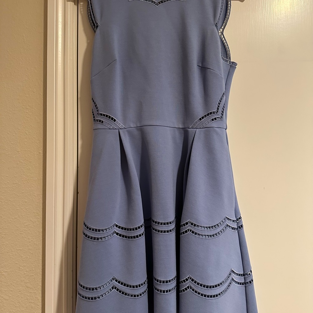 Elegant Ted Baker Dress